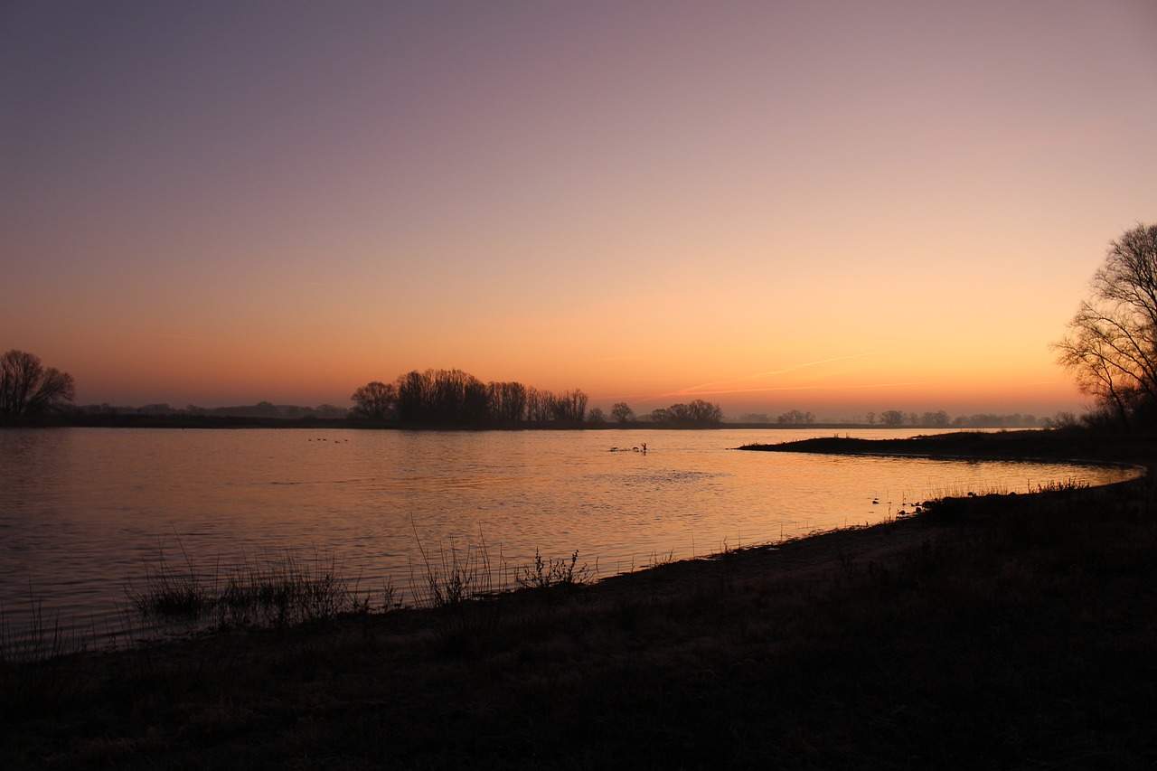 Wetland Reserve. (Imagen Suministrada)