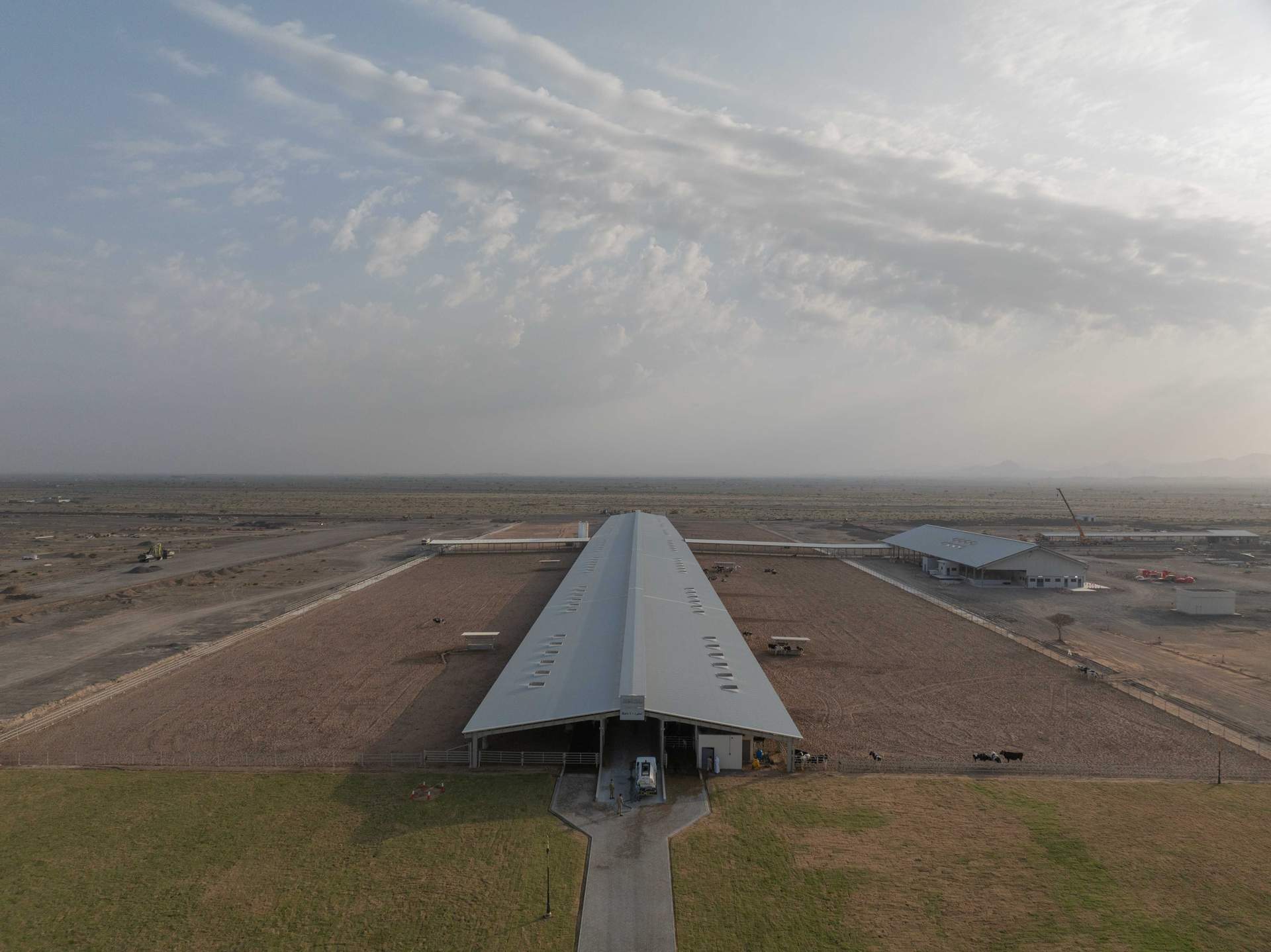Una vista aérea de la vaquería en Sharjah. (WAM)