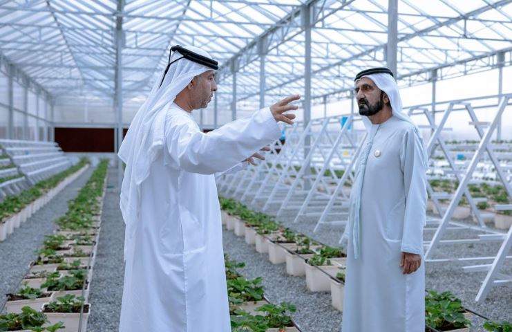 El gobernante de Dubai a la derecha durante su visita a la granja. (WAM)