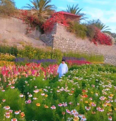 La granja de flores en RAK. (@uae_flower_farm)