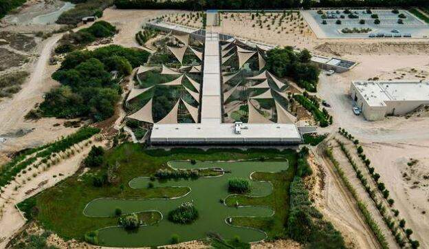 Wasit Sharjah.