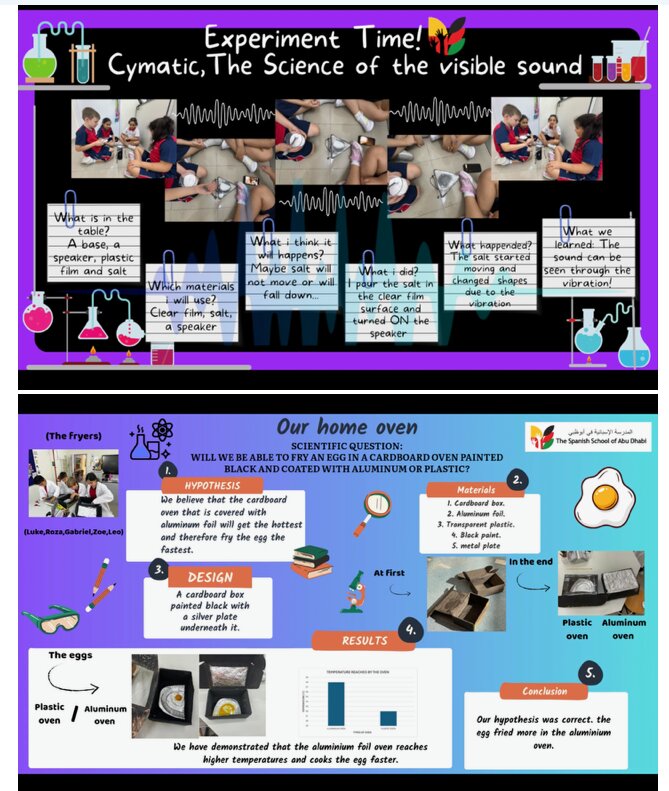 El trabajo de ciencias premiado. (Cedida)