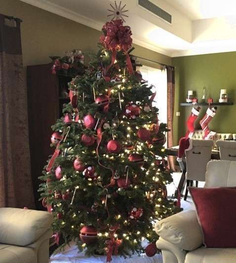 Árbol de Navidad ganador del concurso organizado por EL CORREO DEL GOLFO y La Despensa. 