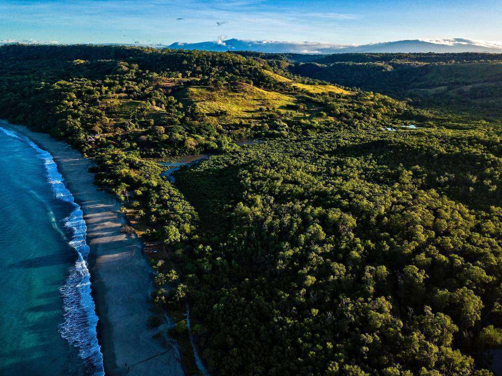 La ruta hacia la descarbonización es una fuente extraordinaria para generar nuevas oportunidades de negocios. (Fuente externa)