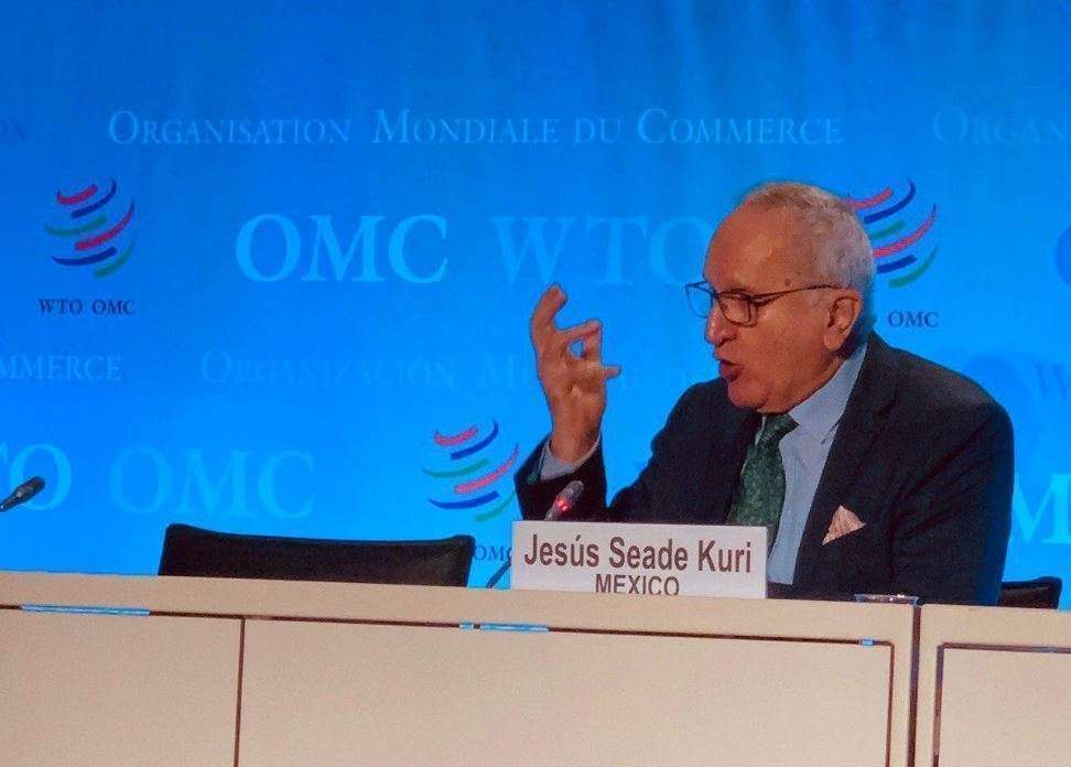 Seade Kuri apuntó durante su intervención que hoy la OMC requiere un cambio profundo. (Cedida)