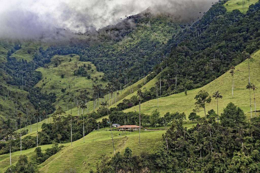 El pabellón colombiano realizará semanas temáticas enfocadas en las flores, la moda, las frutas, el café, el cacao y los cárnicos. (Fuente externa)