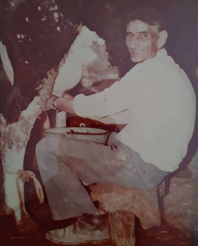 Mi padre Francisco ordeñando una de sus vacas en la Cueva la Cochina. Mi padre Francisco ordeñando una de sus vacas en la Cueva de la Cochina.