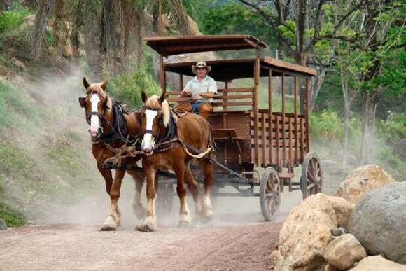 Parque Nacional de la Cultura Agropecuaria (PANACA). Parque Nacional de la Cultura Agropecuaria (PANACA).