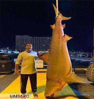 El pescador emiratí con su tiburón. El pescador emiratí con su tiburón.