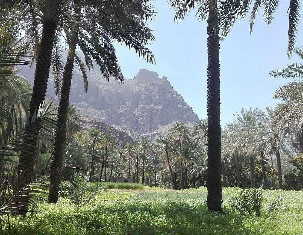 Proximidades de la aldea de Al Ulyah.