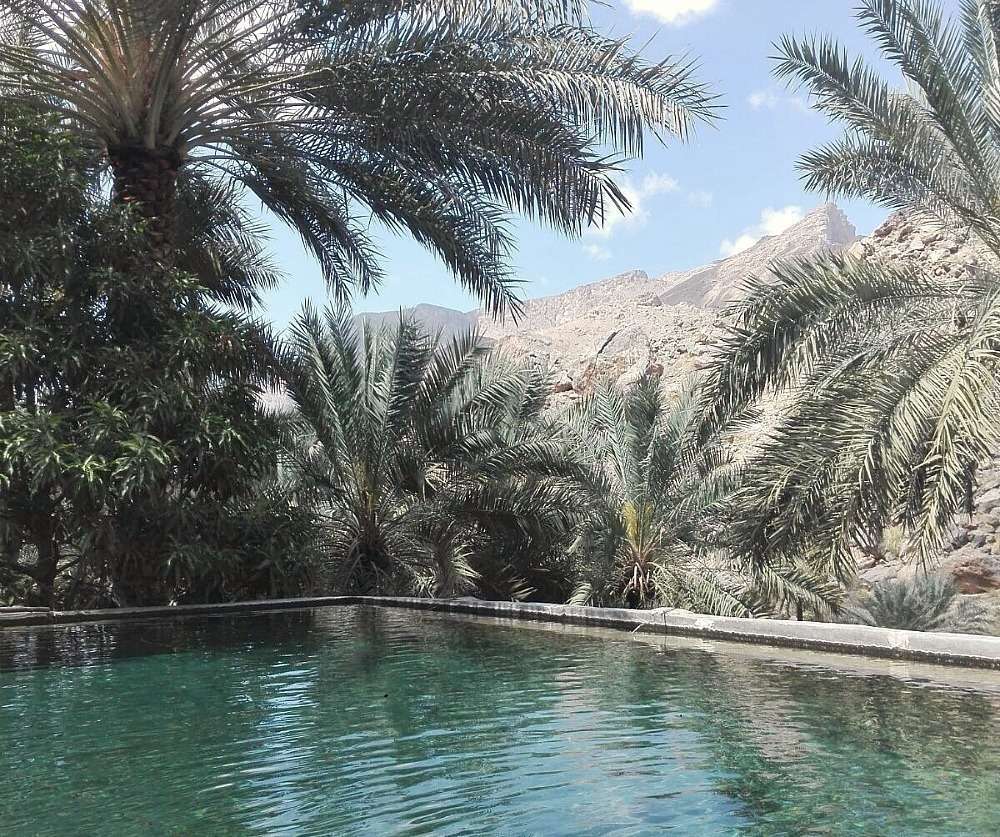 Estanque en la aldea de Al Ulyah. 